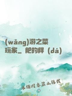 網(wǎng)游之菜鳥玩家