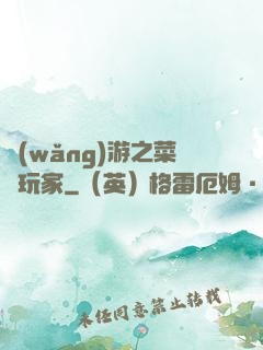 網(wǎng)游之菜鳥玩家