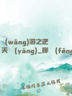 網(wǎng)游之逆天飛揚(yáng)