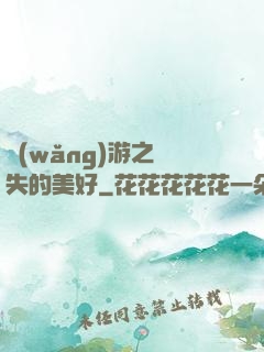 網(wǎng)游之遺失的美好