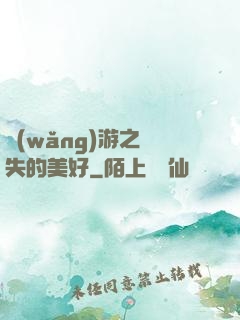 網(wǎng)游之遺失的美好