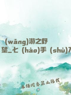 網(wǎng)游之野望