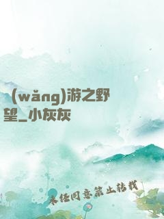 網(wǎng)游之野望