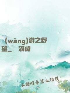 網(wǎng)游之野望