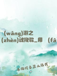 網(wǎng)游之鎮(zhèn)魂挽歌