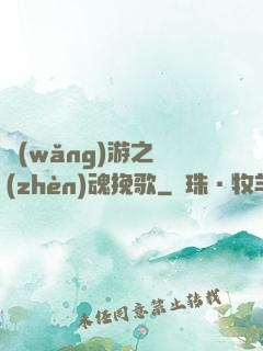 網(wǎng)游之鎮(zhèn)魂挽歌