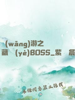 網(wǎng)游之隱藏職業(yè)BOSS