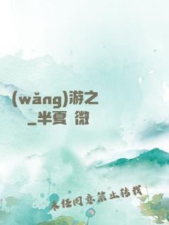 網(wǎng)游之雙劍傳說