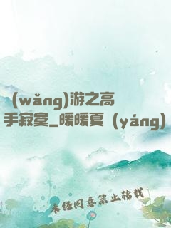 網(wǎng)游之高手寂寞