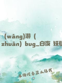 網(wǎng)游專(zhuān)屬bug