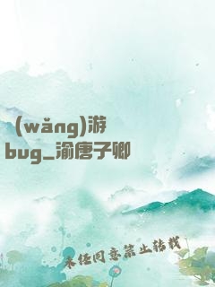 網(wǎng)游專屬bug