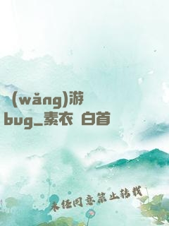 網(wǎng)游專屬bug