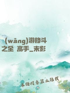 網(wǎng)游格斗之全職高手