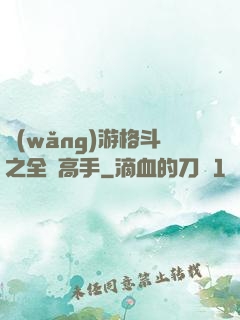 網(wǎng)游格斗之全職高手