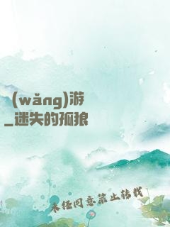 網(wǎng)游無盡
