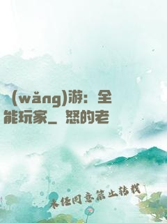 網(wǎng)游：全能玩家