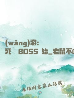 網(wǎng)游：從殺死終極BOSS開始