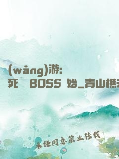 網(wǎng)游：從殺死終極BOSS開始