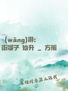 網(wǎng)游：從街溜子開始升級