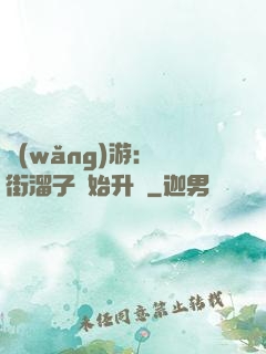 網(wǎng)游：從街溜子開始升級