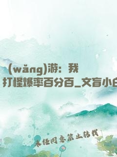 網(wǎng)游：我打怪爆率百分百