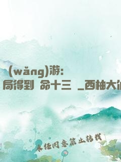 網(wǎng)游：開局得到奪命十三劍