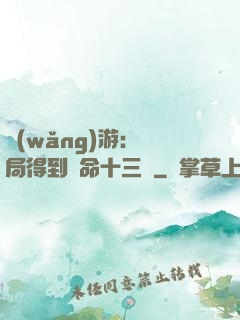 網(wǎng)游：開局得到奪命十三劍
