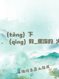 總統(tǒng)閣下，請(qǐng)賜教