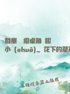 總裁塞鋼筆磨桌角筆趣樓小說(shuō)