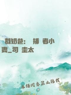 總裁奶爸：緝捕記者小妻