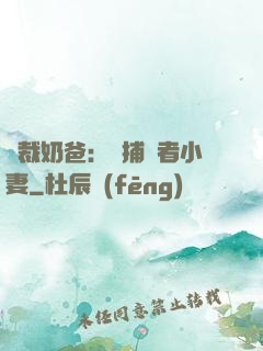 總裁奶爸：緝捕記者小妻