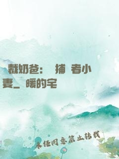 總裁奶爸：緝捕記者小妻