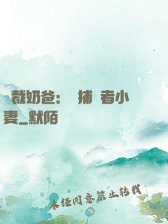 總裁奶爸：緝捕記者小妻