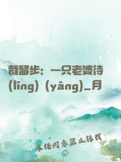 總裁留步：一只老婆待領(lǐng)養(yǎng)