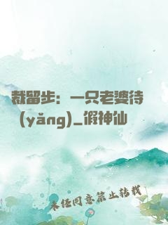 總裁留步：一只老婆待領養(yǎng)