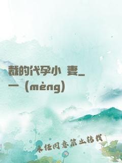 總裁的代孕小嬌妻