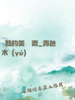 總裁的美麗嬌妻
