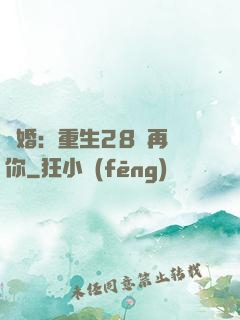 纏婚：重生28歲再愛你