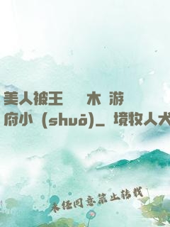 美人被王爺罰騎木驢游府小說(shuō)