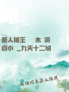 美人被王爺罰騎木驢游府小說