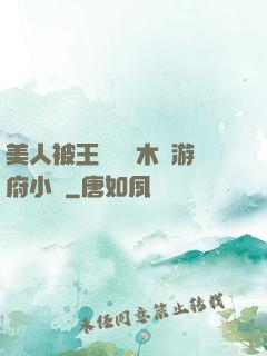 美人被王爺罰騎木驢游府小說