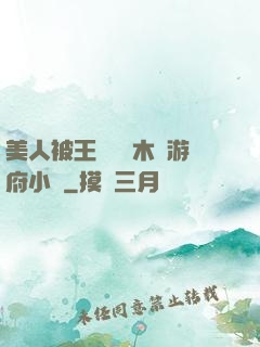 美人被王爺罰騎木驢游府小說