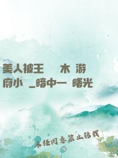美人被王爺罰騎木驢游府小說