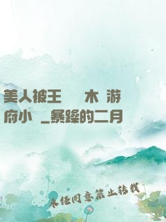 美人被王爺罰騎木驢游府小說