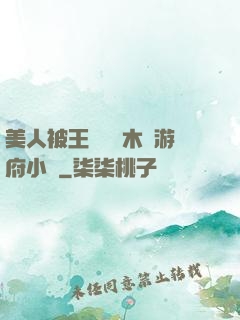 美人被王爺罰騎木驢游府小說