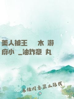 美人被王爺罰騎木驢游府小說