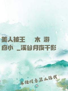 美人被王爺罰騎木驢游府小說