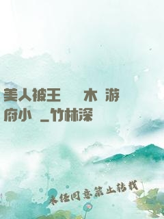 美人被王爺罰騎木驢游府小說
