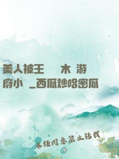 美人被王爺罰騎木驢游府小說