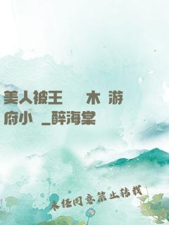 美人被王爺罰騎木驢游府小說